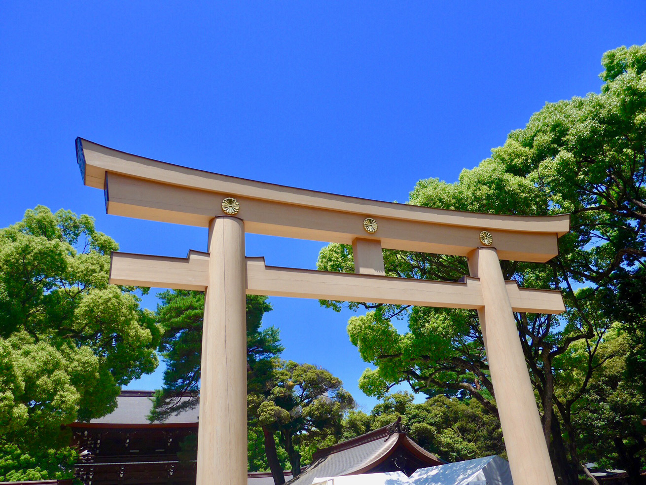 meiji-shrine-tokyo-japan