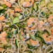 Vegetable Linguine with Shrimp and Lemon Zest